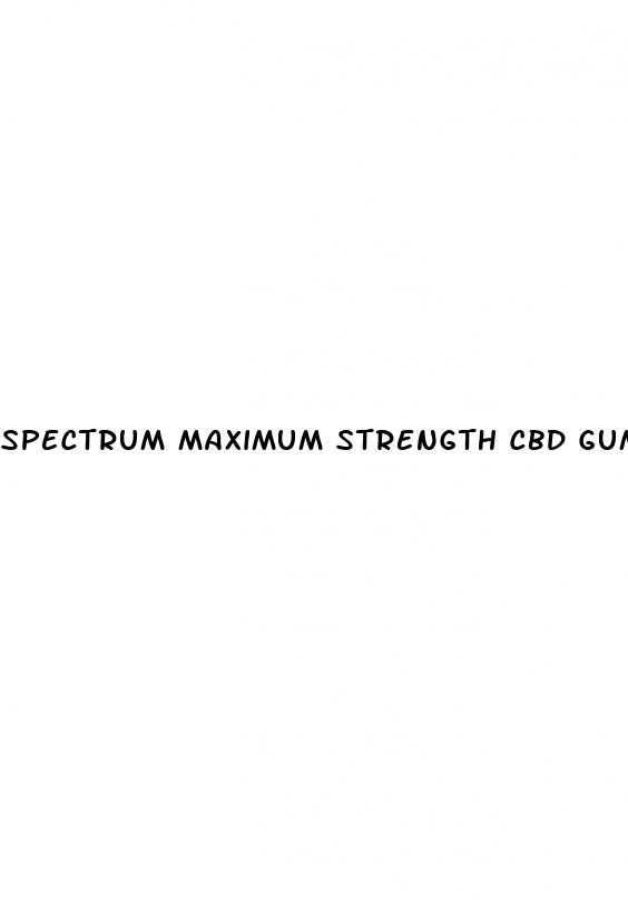 spectrum maximum strength cbd gummies 300mg