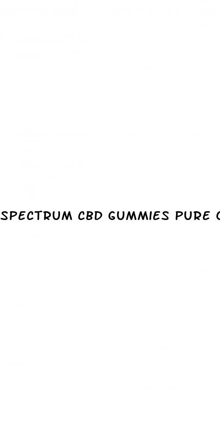 spectrum cbd gummies pure organic hemp extract 300mg