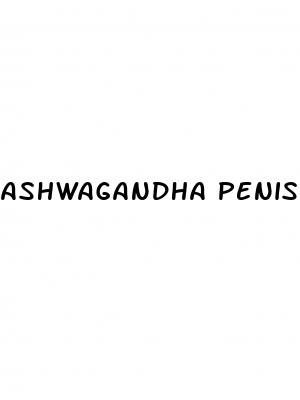 ashwagandha penis growth