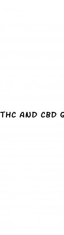 thc and cbd gummy