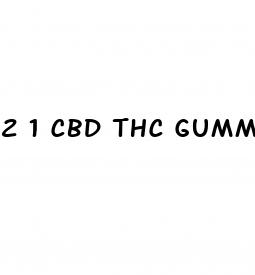 2 1 cbd thc gummies
