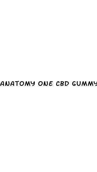 anatomy one cbd gummy s