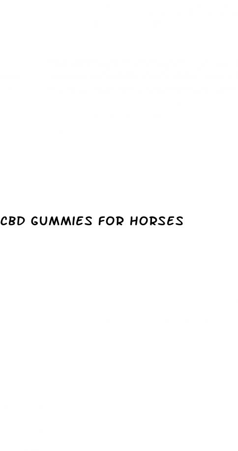 cbd gummies for horses