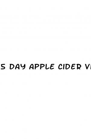 5 day apple cider vinegar diet