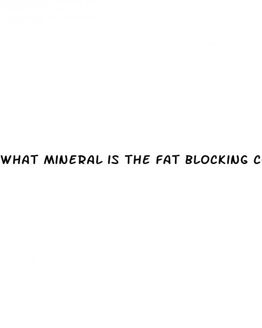 what mineral is the fat blocking code