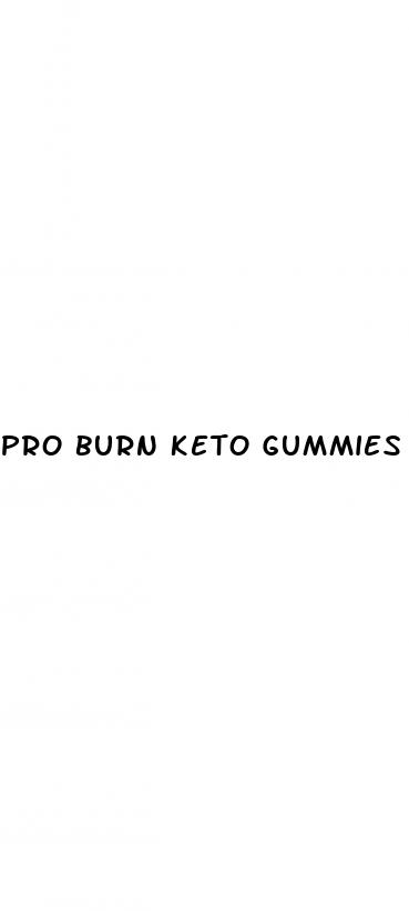 pro burn keto gummies website