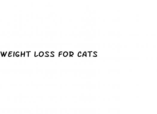 weight loss for cats