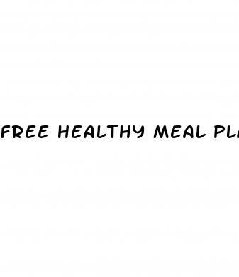 free healthy meal plans for weight loss