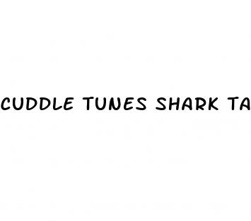 cuddle tunes shark tank update
