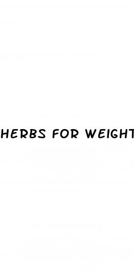 herbs for weight loss tea
