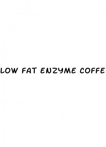 low fat enzyme coffee for weight loss