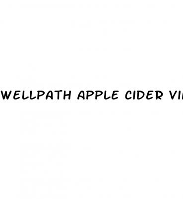 wellpath apple cider vinegar gummies