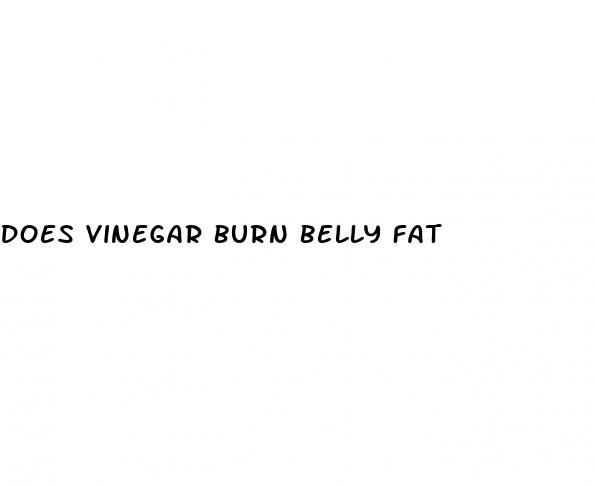 does vinegar burn belly fat