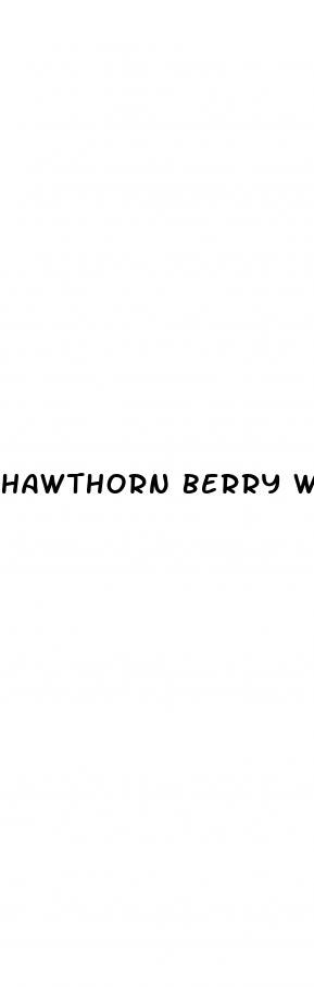 hawthorn berry weight loss
