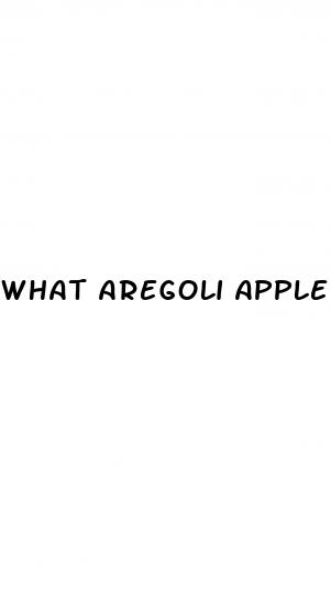 what aregoli apple cider vinegar gummies