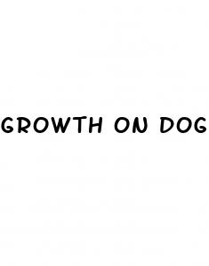 growth on dog penis