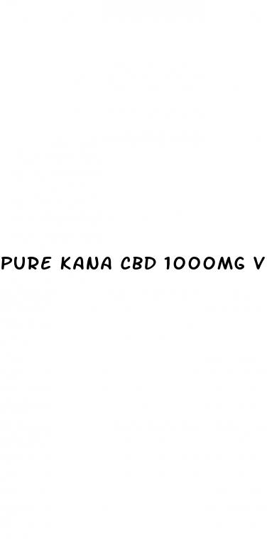 pure kana cbd 1000mg vegan gummies
