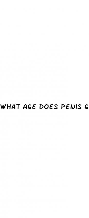 what age does penis growth stop