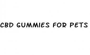 cbd gummies for pets