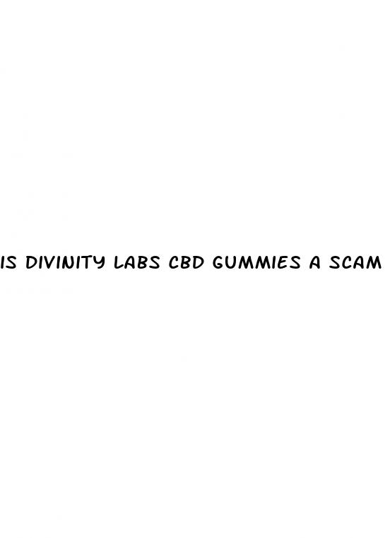 is divinity labs cbd gummies a scam