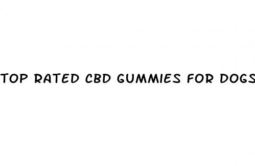 top rated cbd gummies for dogs