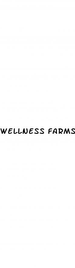 wellness farms cbd gummies 500mg