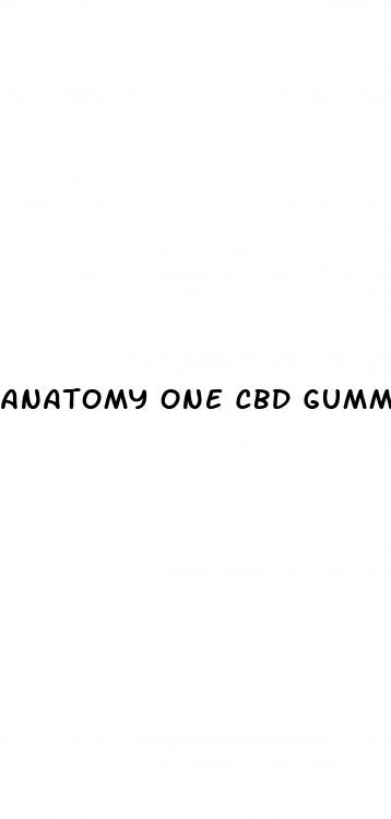 anatomy one cbd gummies ingredients