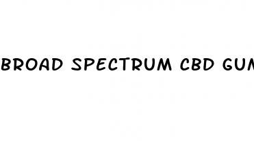 broad spectrum cbd gummies 750