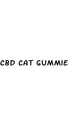 cbd cat gummies