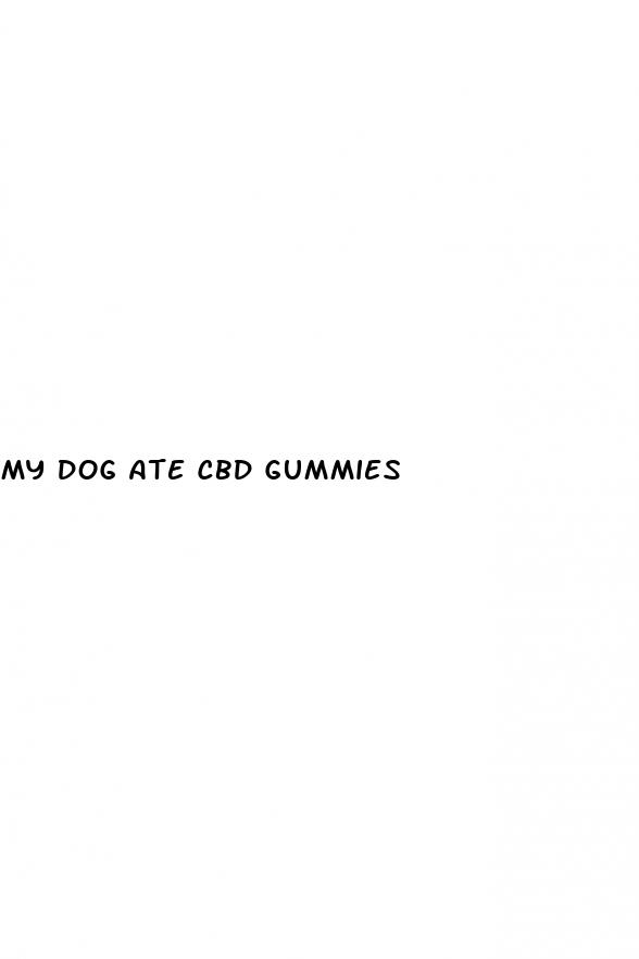 my dog ate cbd gummies