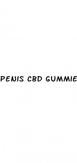 penis cbd gummies