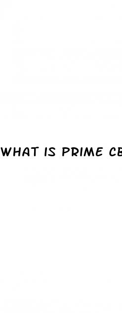 what is prime cbd gummies