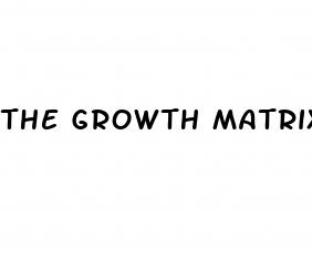 the growth matrix penis growth