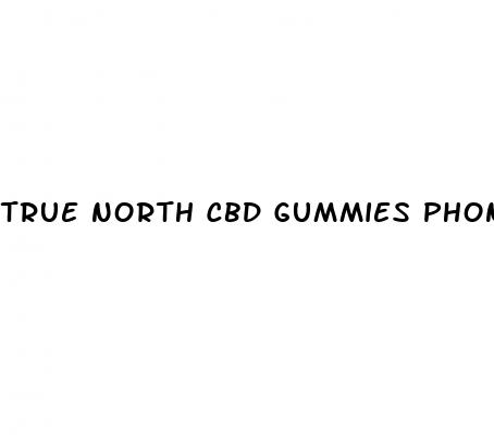 true north cbd gummies phone number