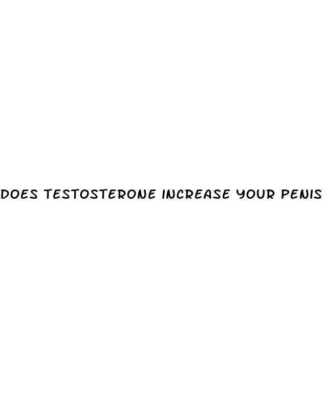 does testosterone increase your penis size