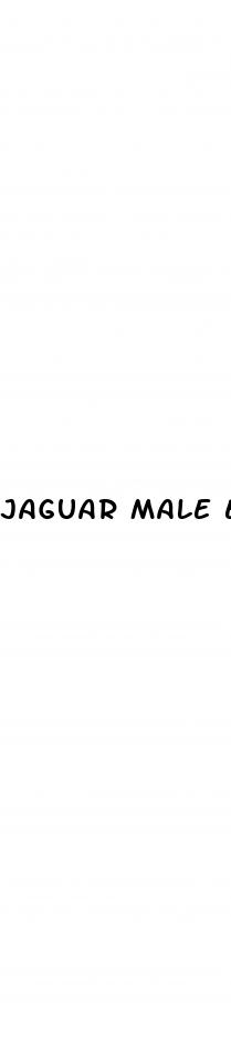 jaguar male enhancement pill