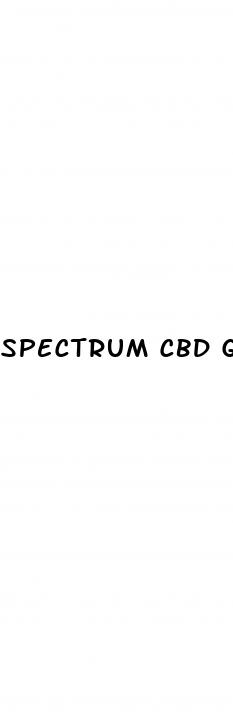 spectrum cbd gummies 300mg