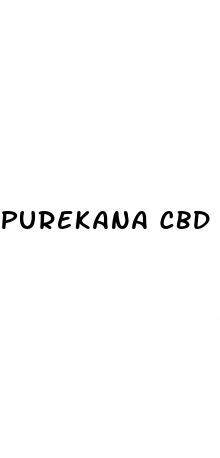 purekana cbd gummies in stores