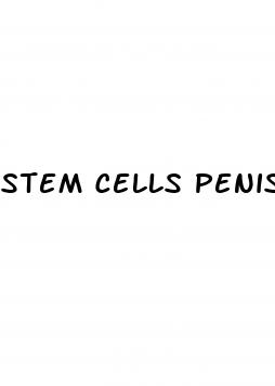 stem cells penis growth