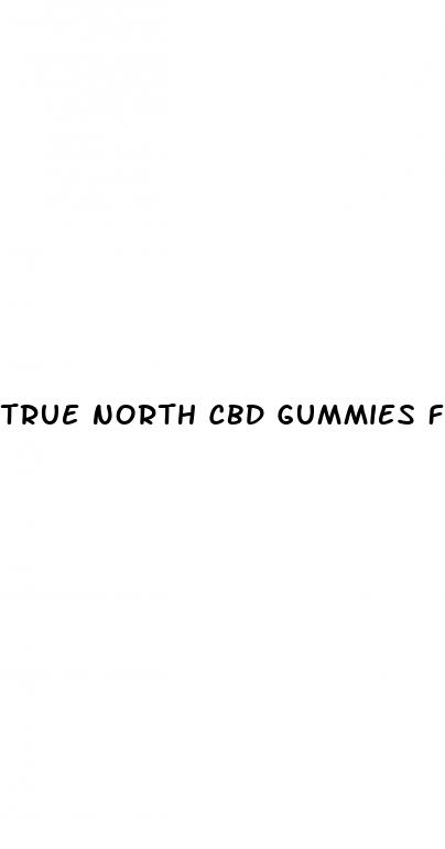 true north cbd gummies for sale