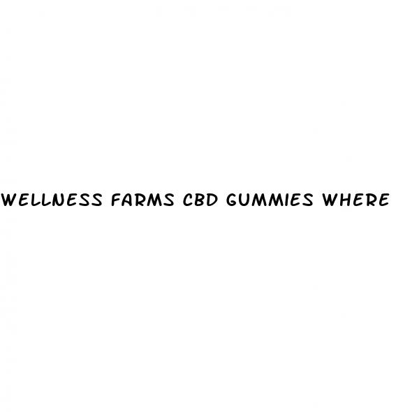 wellness farms cbd gummies where to buy