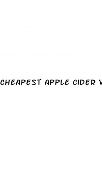 cheapest apple cider vinegar gummies