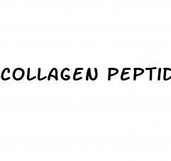 collagen peptides for weight loss