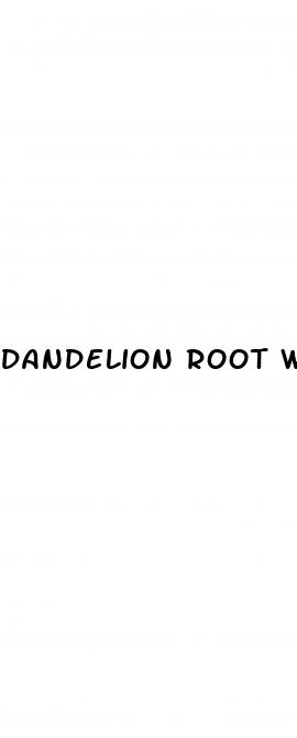 dandelion root weight loss