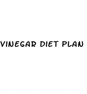 vinegar diet plan