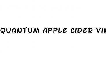 quantum apple cider vinegar keto gummies