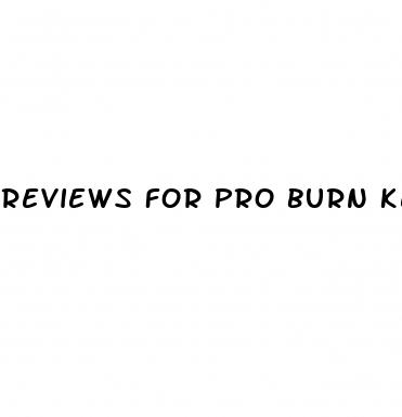 reviews for pro burn keto acv gummies