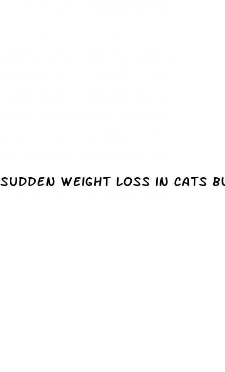 sudden weight loss in cats but still eating