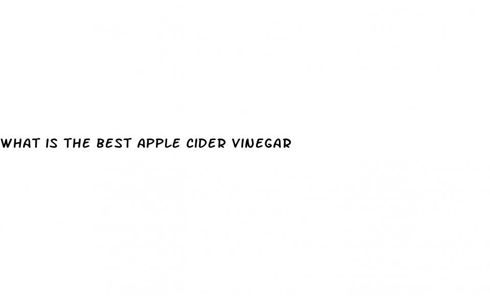 what is the best apple cider vinegar