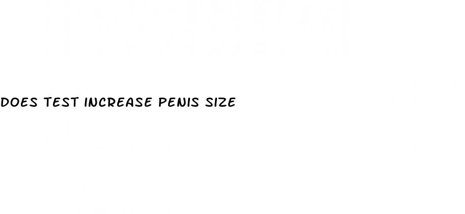 does test increase penis size